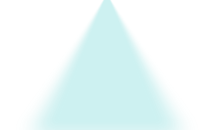 DeepMark